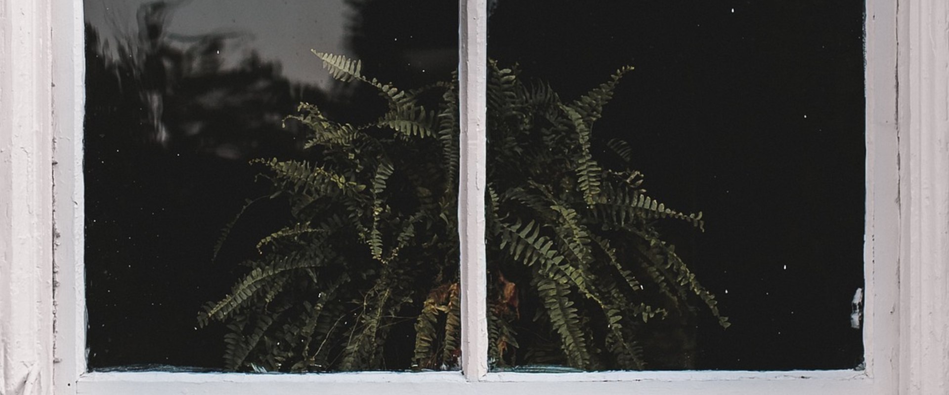 Building Repair and Expert Window Installers in Provo