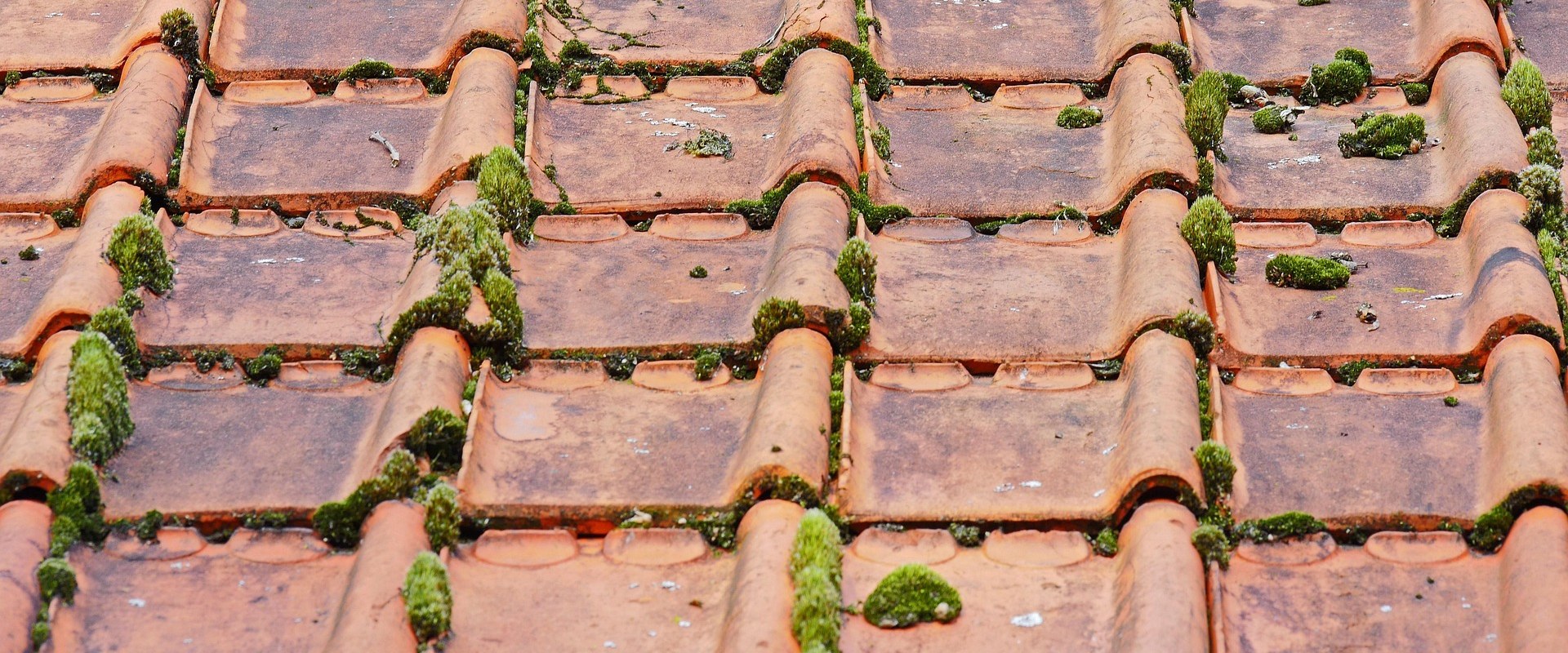 Local Roofers in Leesburg: Expert Building Repair Advice