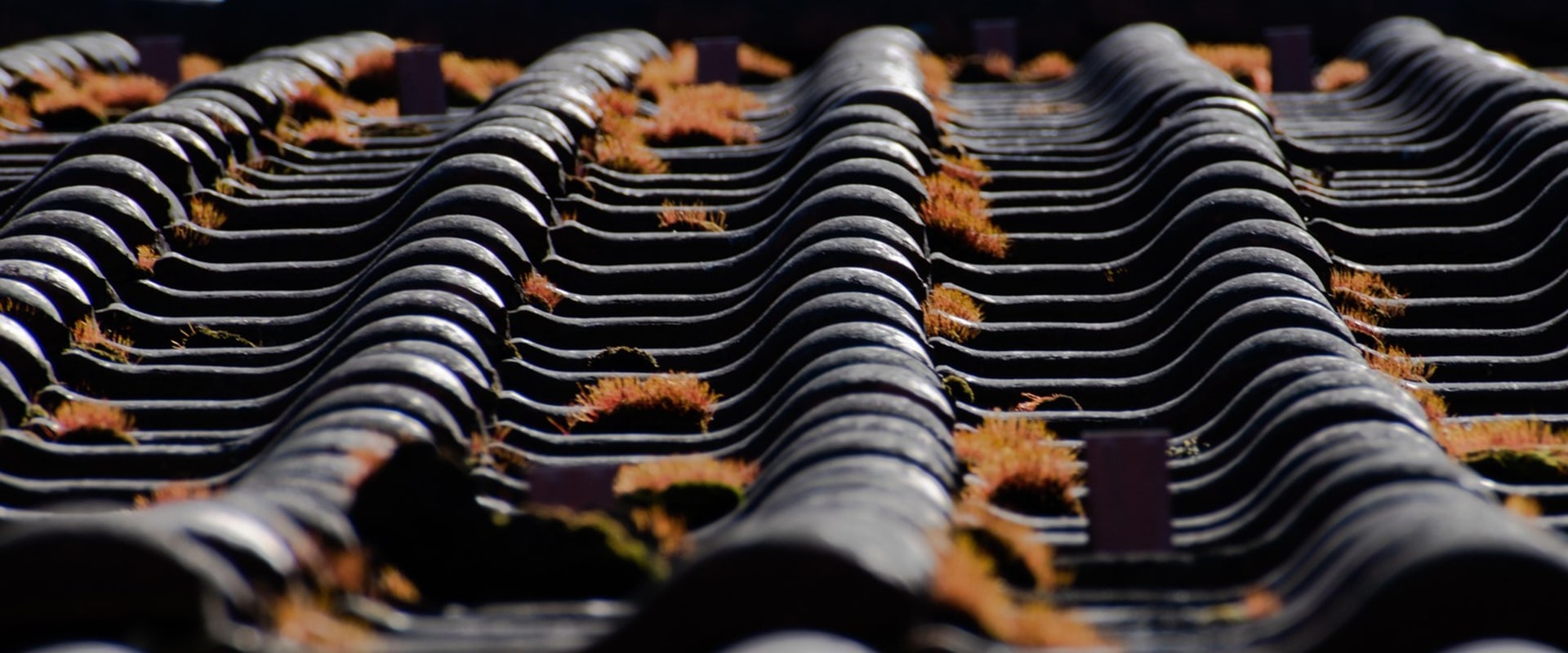 Keep Roof Damage From Complicating Building Repair in Sarasota, FL