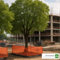 Tree Preservation in Portsmith: Protecting Trees During Building Repair