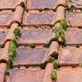 Local Roofers in Leesburg: Expert Building Repair Advice