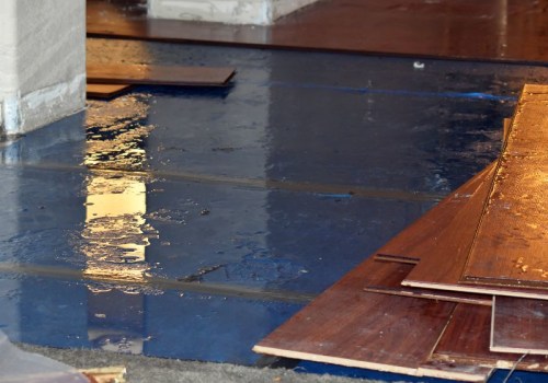 Expert Water Damage Repair in Mt. Pleasant