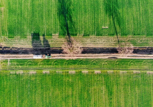 Efficient Building Repair with Kubota Tree Pullers