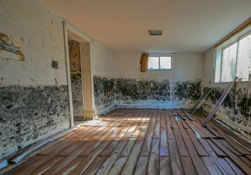 Uncover Hidden Mold Before Building Repair in St. Petersburg, FL