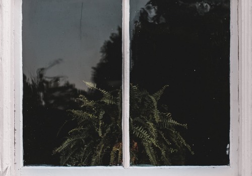 Building Repair and Expert Window Installers in Provo