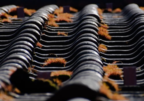 Keep Roof Damage From Complicating Building Repair in Sarasota, FL